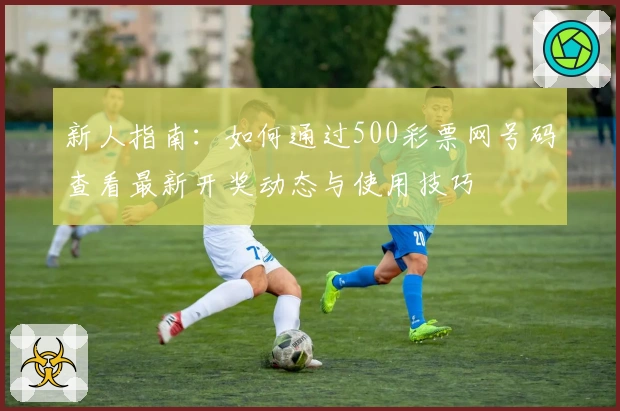 新人指南：如何通过500彩票网号码查看最新开奖动态与使用技巧